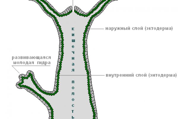 Ссылка омг в торе